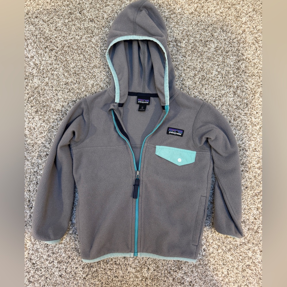 Patagonia Micro D Snap-T Fleece Jacket 3T